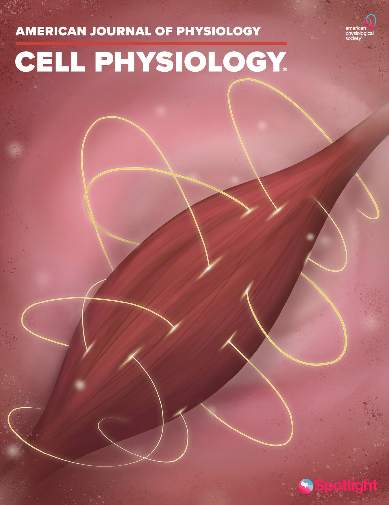 Cover showing molecular effect on muscles