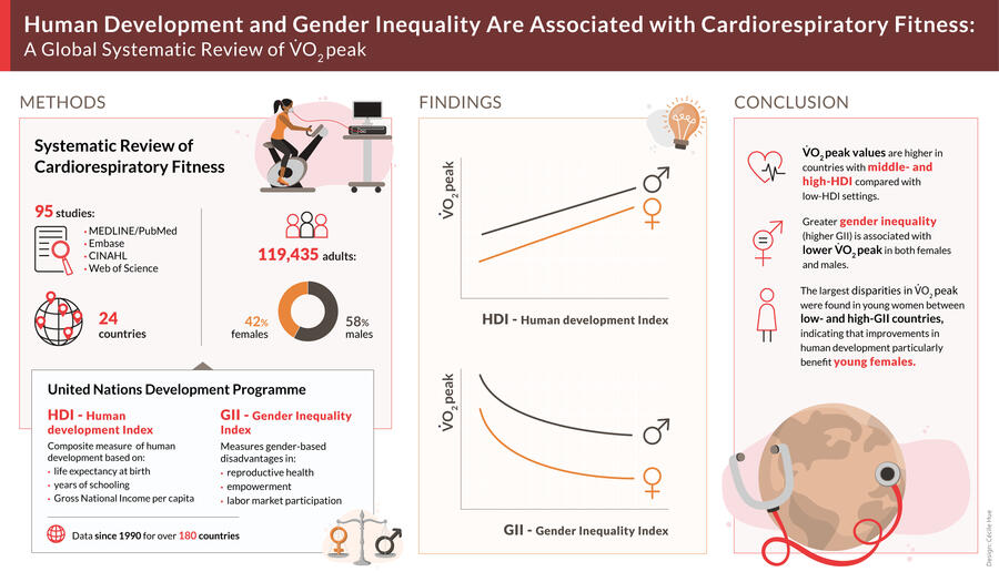 Graphical abstract summarizing the paper Human development and Gender Inequality are associated with cardiorespiratory fitness